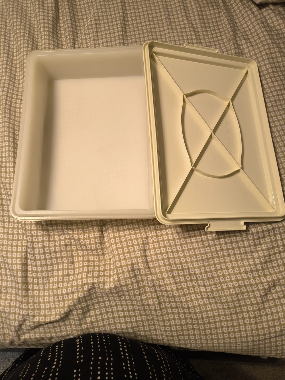 Tupperware Cream/White Food Storage Container with Snap Handles